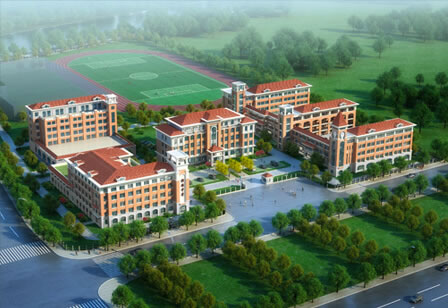 测试的案例信息,测试的案例信息